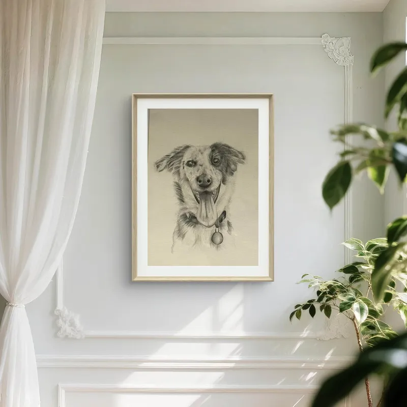 Framed graphite-style portrait of a smiling collie.